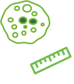 Icon 1