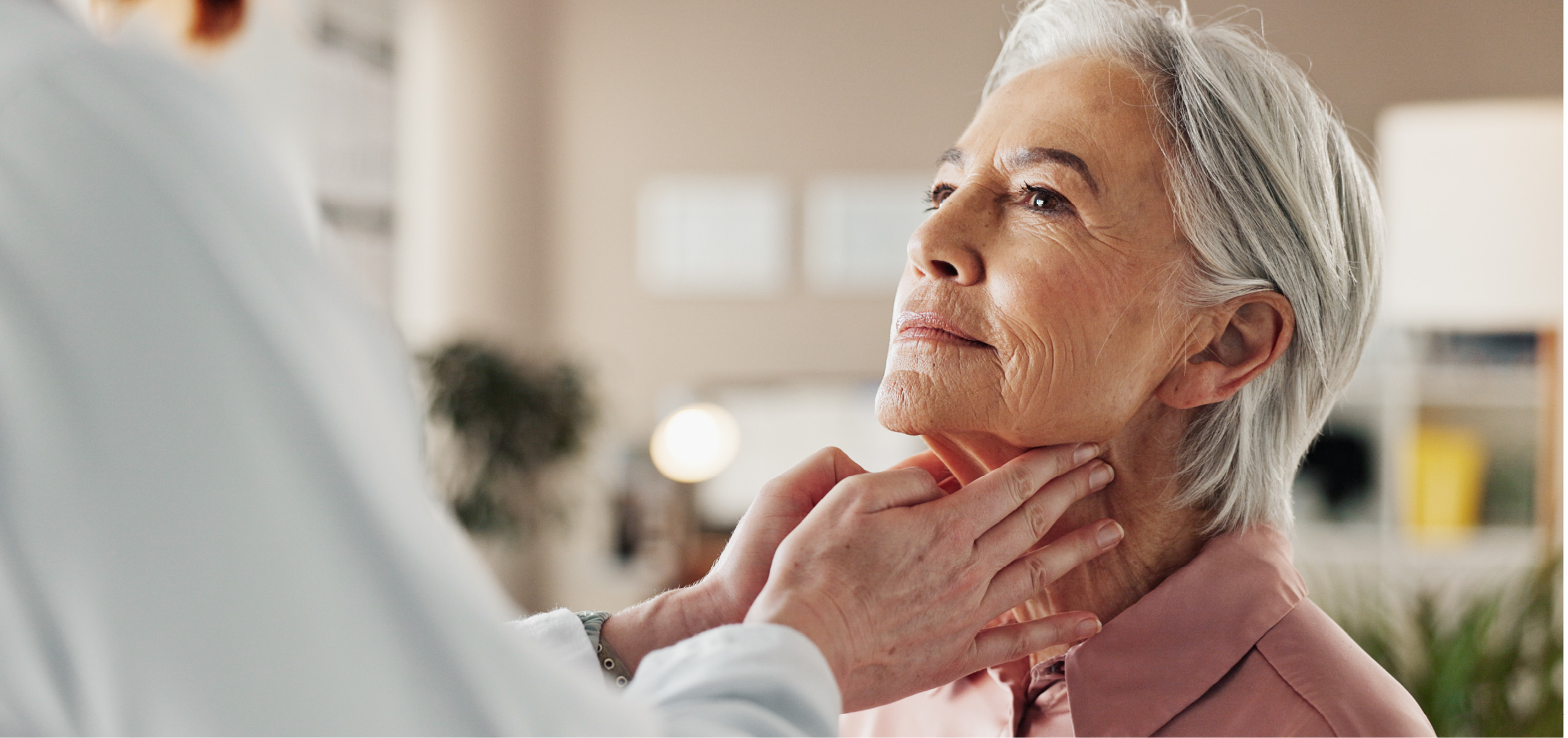 Toto je fotografia, ktorá slúži iba ako ilustrácia.